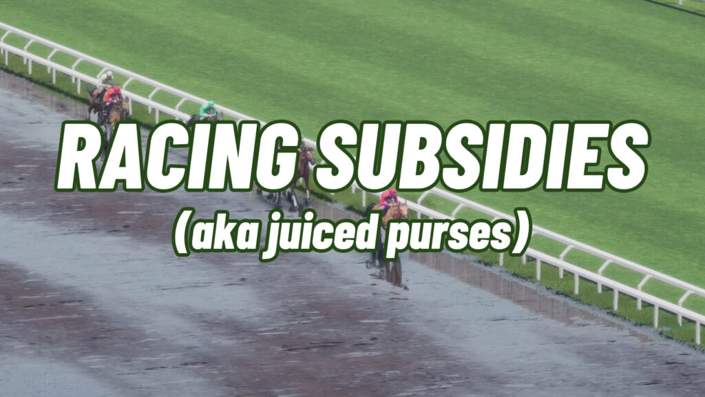 Race Purse Subsidies